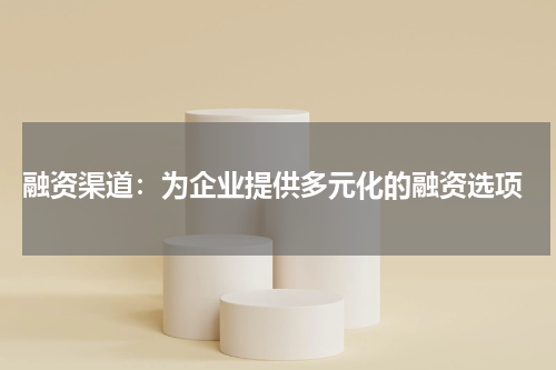  融资渠道：为企业提供多元化的融资选项