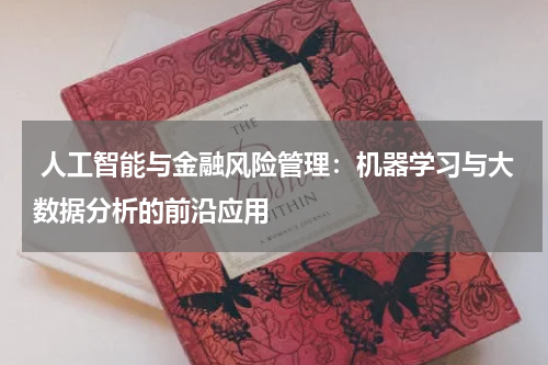  人工智能与金融风险管理：机器学习与大数据分析的前沿应用