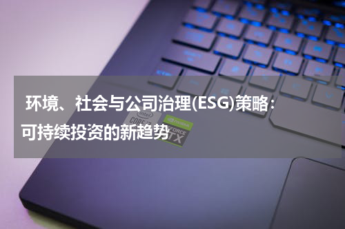  环境、社会与公司治理(ESG)策略：可持续投资的新趋势