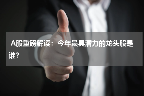  A股重磅解读：今年最具潜力的龙头股是谁？