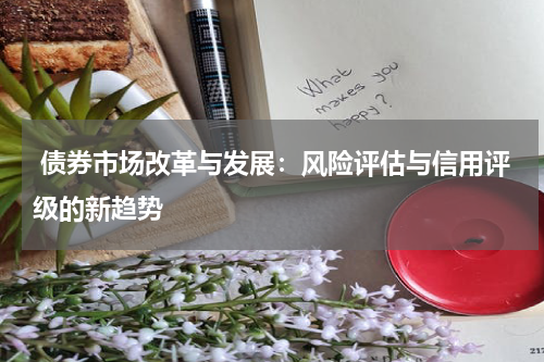  债券市场改革与发展：风险评估与信用评级的新趋势