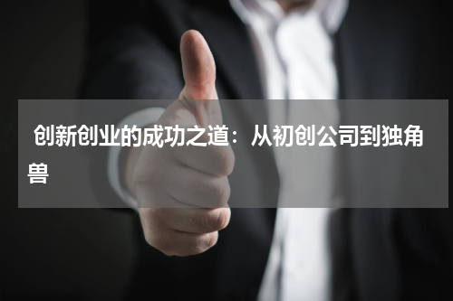  创新创业的成功之道：从初创公司到独角兽