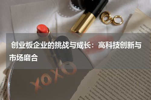  创业板企业的挑战与成长：高科技创新与市场磨合