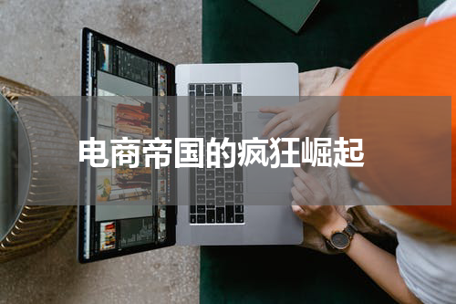  电商帝国的疯狂崛起