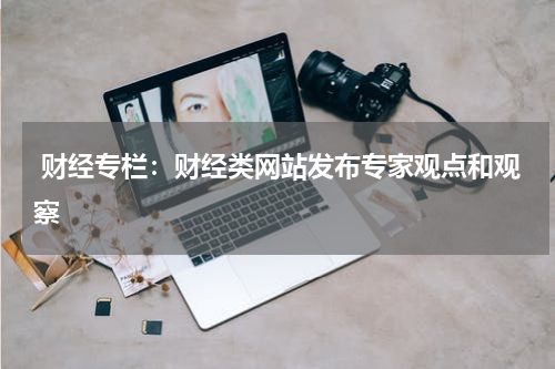  财经专栏：财经类网站发布专家观点和观察