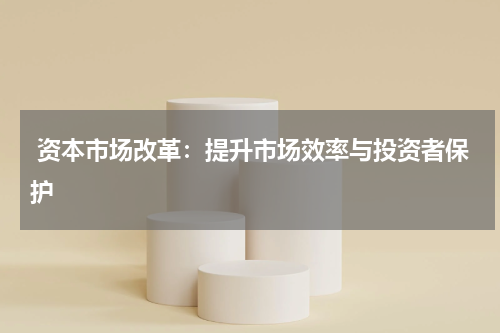 资本市场改革:提升市场效率与投资者保护