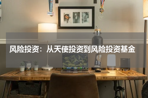  风险投资：从天使投资到风险投资基金