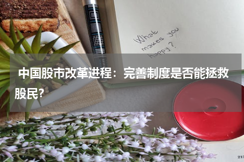  中国股市改革进程：完善制度是否能拯救股民？
