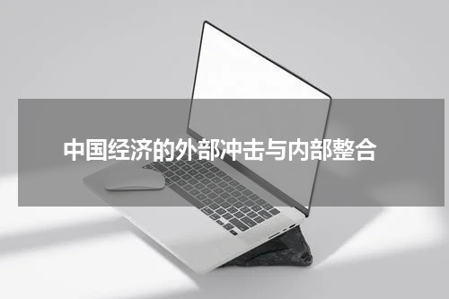  中国经济的外部冲击与内部整合