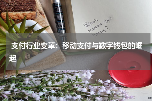  支付行业变革：移动支付与数字钱包的崛起