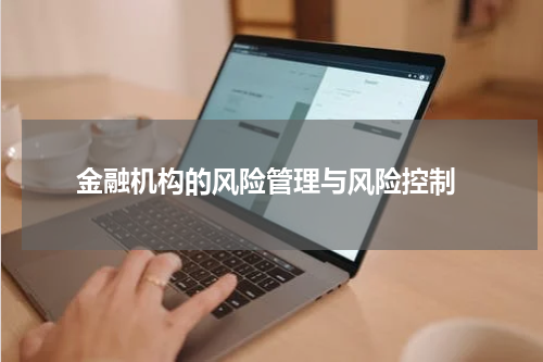  金融机构的风险管理与风险控制