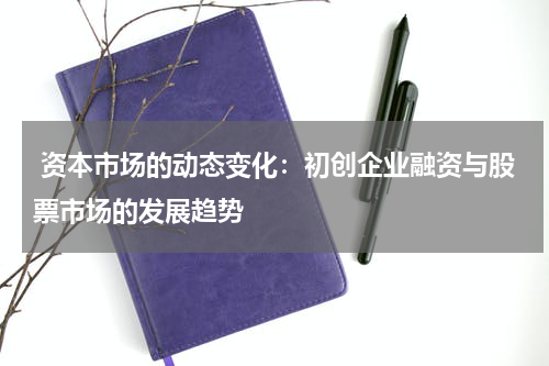  资本市场的动态变化：初创企业融资与股票市场的发展趋势
