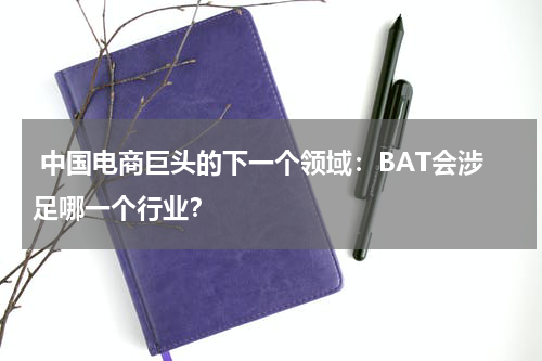 中国电商巨头的下一个领域：BAT会涉足哪一个行业？