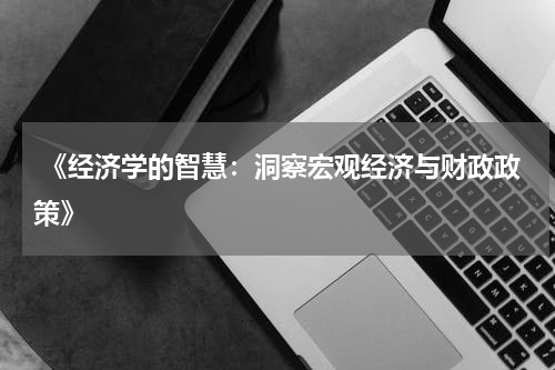  《经济学的智慧：洞察宏观经济与财政政策》
