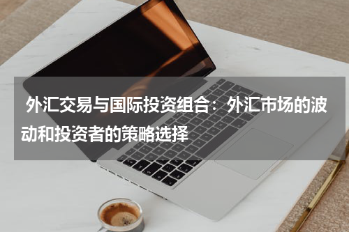  外汇交易与国际投资组合：外汇市场的波动和投资者的策略选择