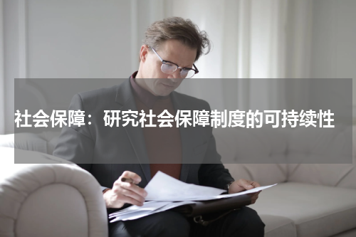  社会保障：研究社会保障制度的可持续性