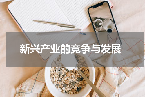  新兴产业的竞争与发展