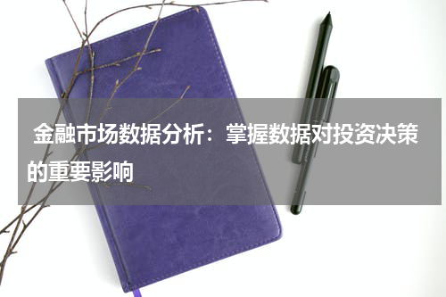  金融市场数据分析：掌握数据对投资决策的重要影响