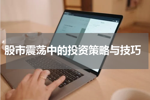 股市震荡中的投资策略与技巧