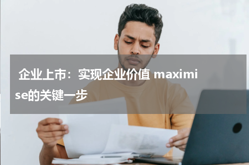  企业上市：实现企业价值 maximise的关键一步
